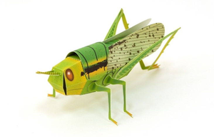 蝗虫纸模型